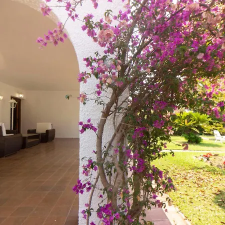 El Dorado Playa Esplai By Interhome Cambrils